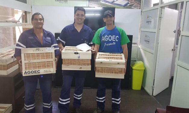 Entrega de cajas navideñas!