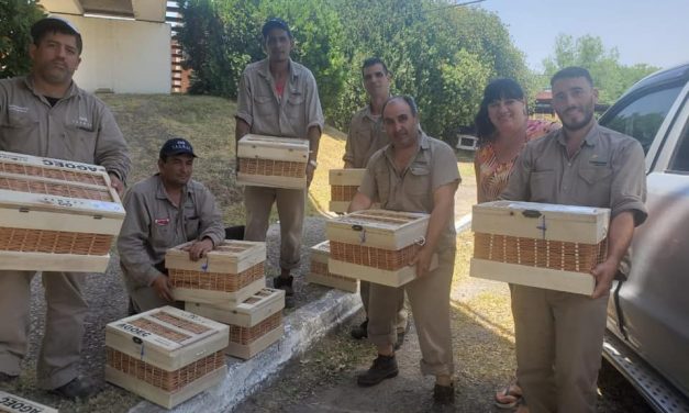 Entrega de cajas navideñas!