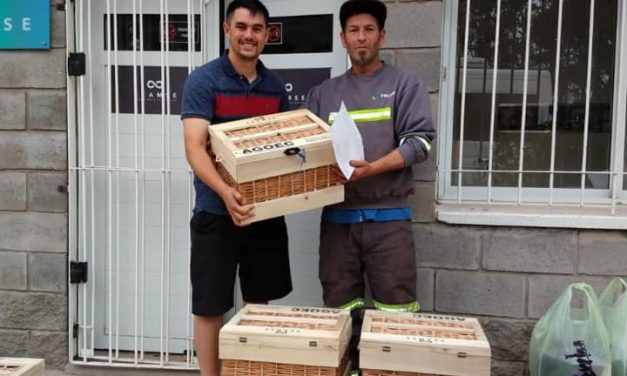 Entrega de cajas navideñas!