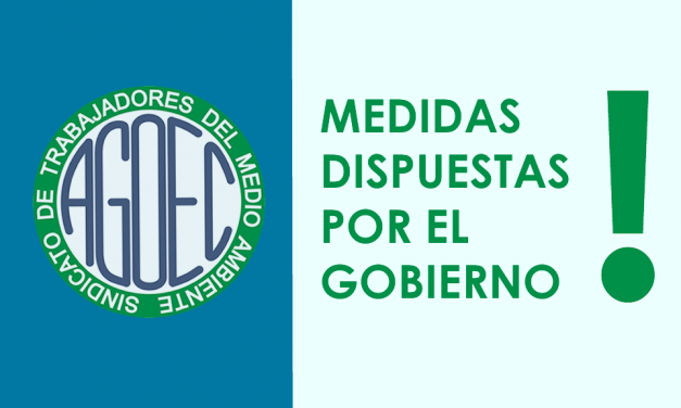 MEDIDAS DISPUESTAS POR EL GOBIERNO