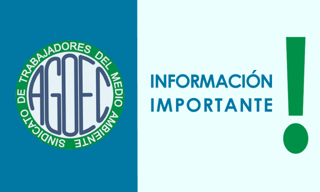 INFORMACIÓN IMPORTANTE