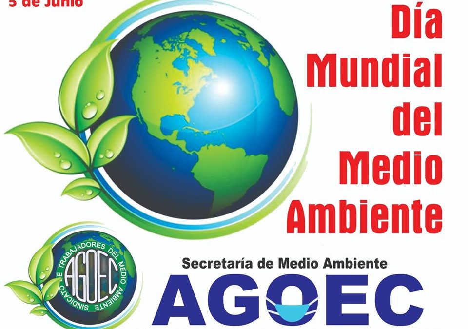 Día mundial del medio ambiente