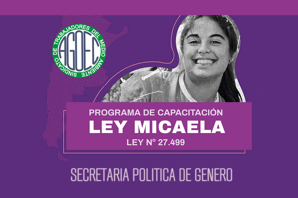 #PoliticadeGeneroAgoec INSCRIBITE A LA CAPACITACIÓN LEY MICAELA