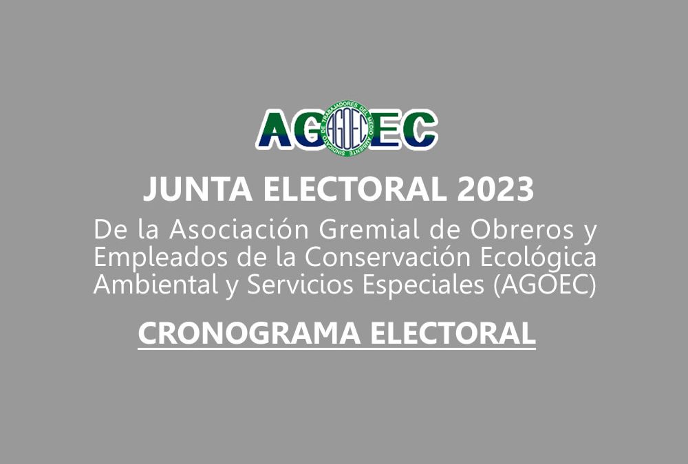 JUNTA ELECTORAL 2023