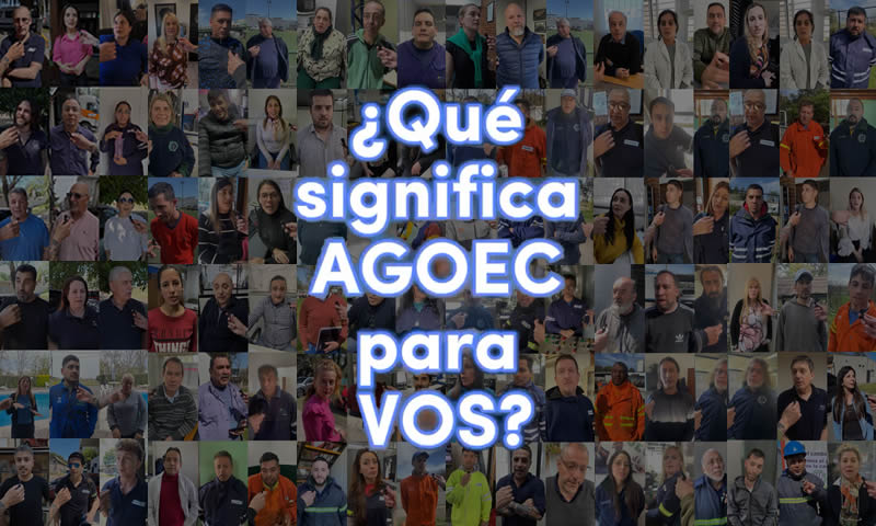 AGOEC 29 DE OCTUBRE