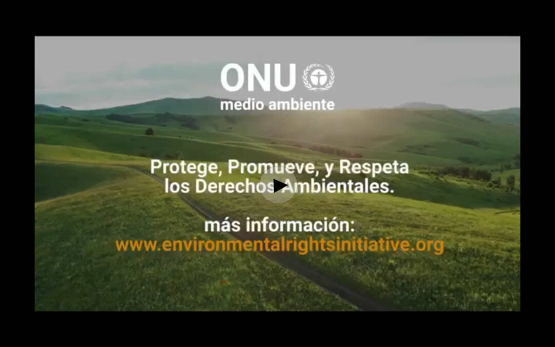 5 DE JUNIO DÍA MUNDIAL DEL AMBIENTE