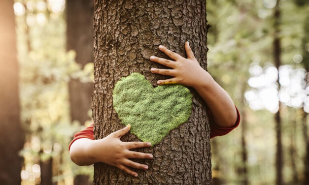29 de Agosto DÍA DEL ARBOL