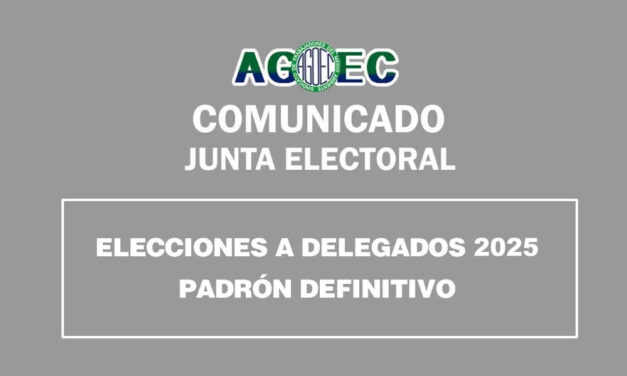 PADRON DEFINITIVO 2025