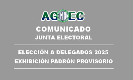 ELECCIÓN A DELEGADOS 2025 – EXHIBICIÓN PADRÓN PROVISORIO