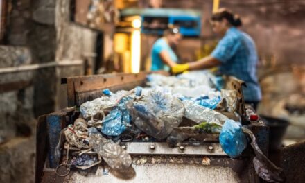 LA OIT PUBLICA LAS DIRECTRICES DE POLÍTICA SOBRE TRABAJO DECENTE EN EL RECICLAJE: UN AVANCE HISTÓRICO PARA LOS TRABAJADORES DE LA GESTIÓN DE RESIDUOS