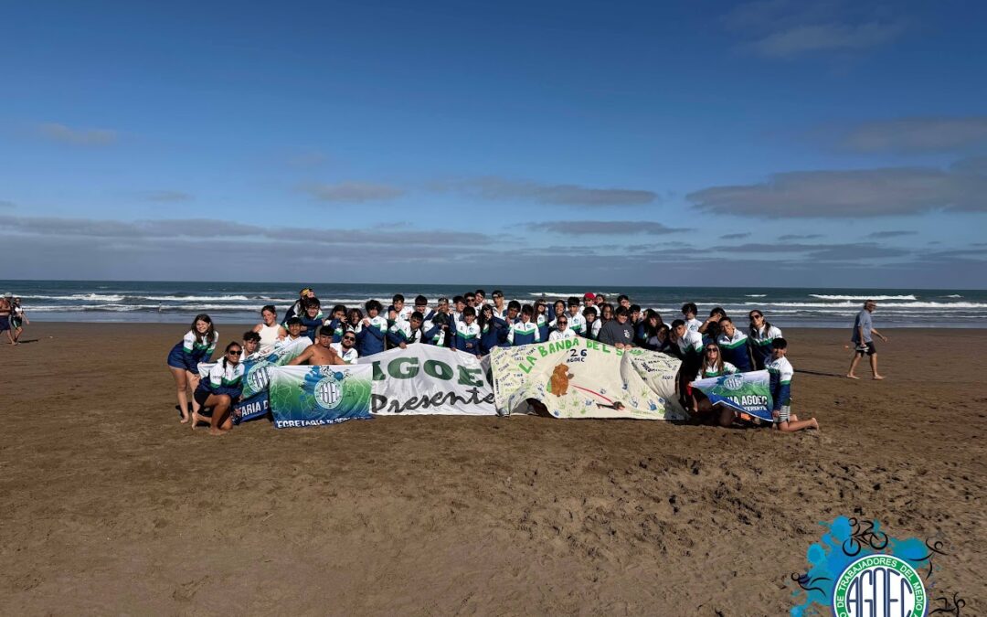 COLO TEENS 2026 – Un verano diferente | Mar del Plata