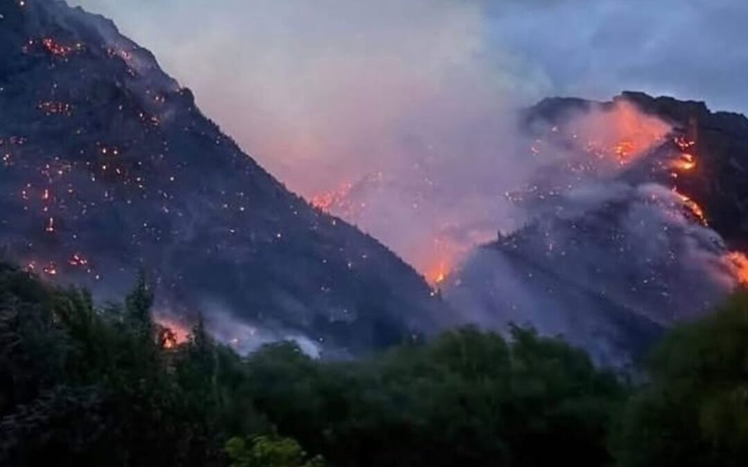 INCENDIOS EN LA PATAGONIA: INFORME SINDICAL SOBRE UNA CRISIS AMBIENTAL, SOCIAL Y LABORAL