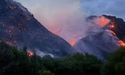 INCENDIOS EN LA PATAGONIA: INFORME SINDICAL SOBRE UNA CRISIS AMBIENTAL, SOCIAL Y LABORAL