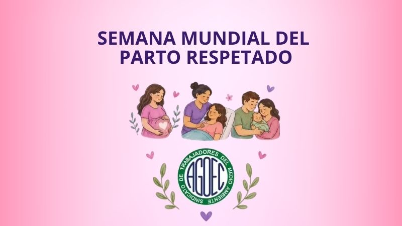 SEMANA MUNDIAL DEL PARTO RESPETADO