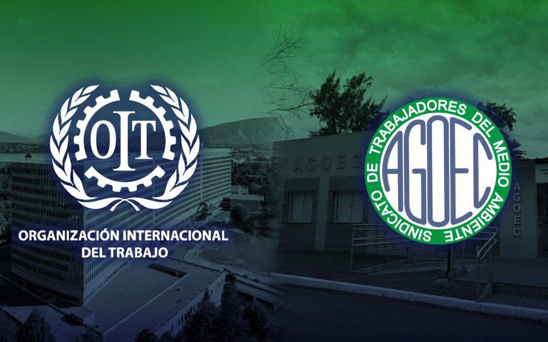 AGOEC participó de la consulta internacional de la OIT sobre riesgos químicos en el trabajo
