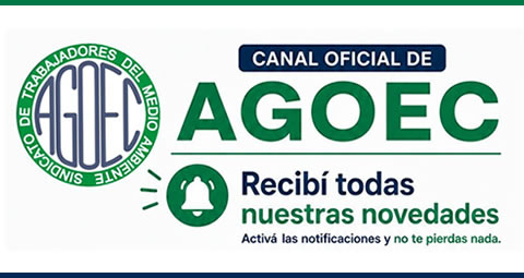 CANAL OFICIAL