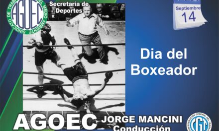 Día del Boxeador